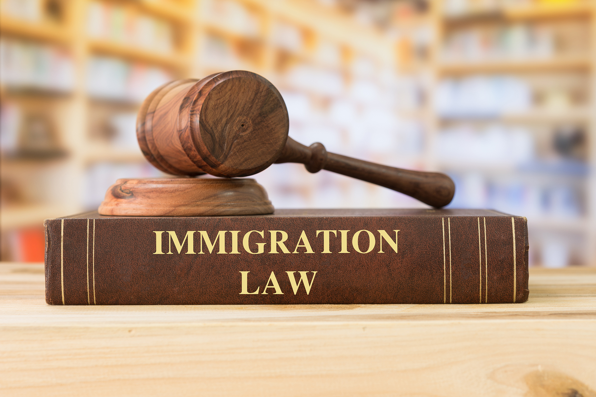 Immigration and Legal related services